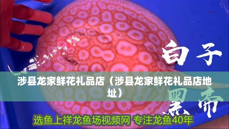 涉縣龍家鮮花禮品店（涉縣龍家鮮花禮品店地址）