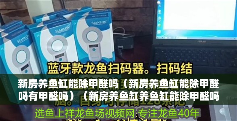 新房養魚缸能除甲醛嗎（新房養魚缸能除甲醛嗎有甲醛嗎）（新房養魚缸養魚缸能除甲醛嗎，新房養魚缸能除甲醛嗎）