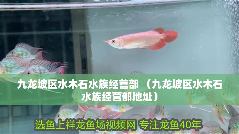 九龍坡區(qū)水木石水族經(jīng)營部 （九龍坡區(qū)水木石水族經(jīng)營部地址）