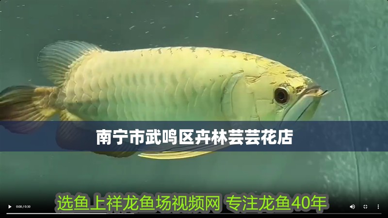 南寧市武鳴區卉林蕓蕓花店