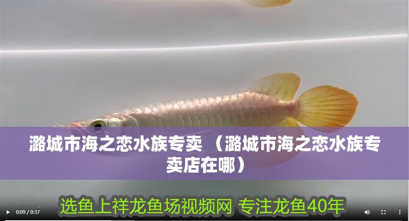 <strong><mark>潞城</mark></strong>市海之戀水族專賣 （<strong><mark>潞城</mark></strong>市海之戀水族專賣店在哪）