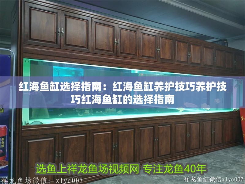 紅海魚缸選擇指南：紅海魚缸養護技巧養護技巧紅海魚缸的選擇指南