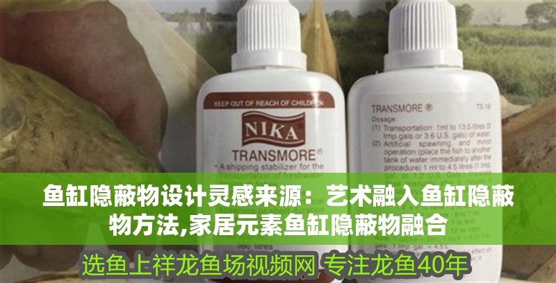 魚缸隱蔽物設計靈感來源：藝術融入魚缸隱蔽物方法,家居元素魚缸隱蔽物融合