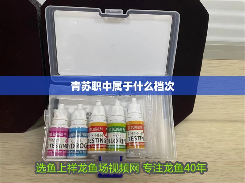 青蘇職中屬于什么檔次