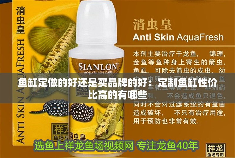 魚缸定做的好還是買品牌的好：定制魚缸性價比高的有哪些