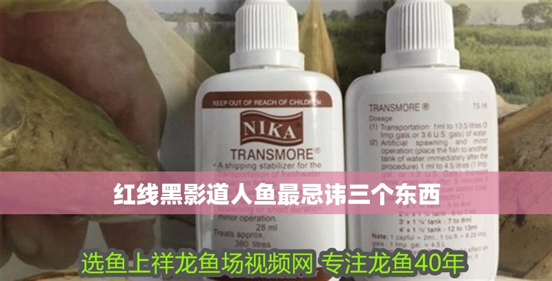 紅線黑影道人魚最忌諱三個東西