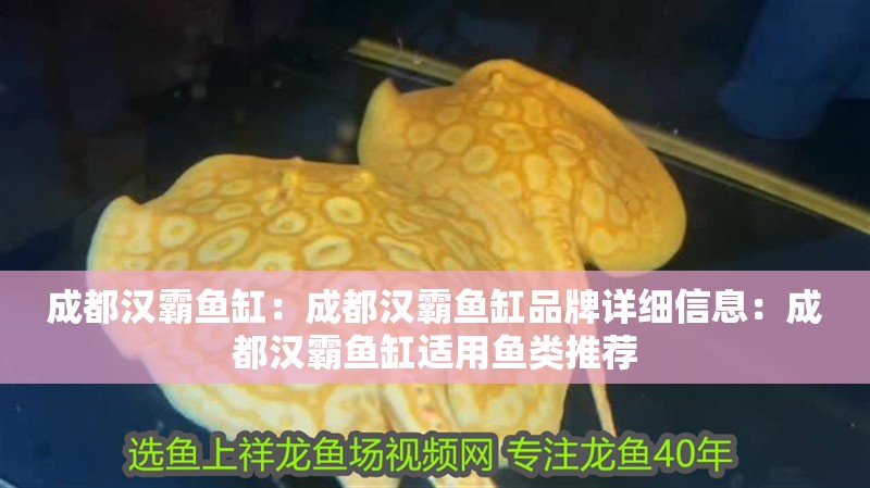 成都漢霸魚(yú)缸：成都漢霸魚(yú)缸品牌詳細(xì)信息：成都漢霸魚(yú)缸適用魚(yú)類推薦