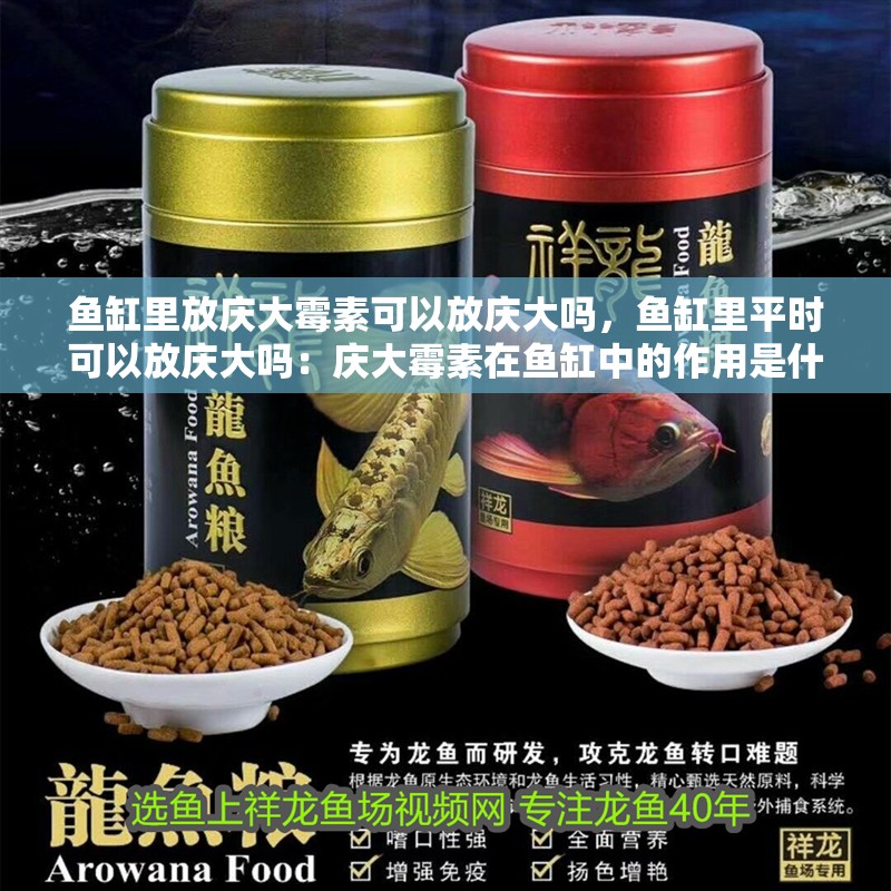 魚缸過濾器選購指南:自制魚缸過濾器魚缸上置過濾器對于養魚愛好者的必備知識 魚缸里放慶大霉素可以放慶大嗎,魚缸里平時可以放慶大嗎:慶大霉素在魚缸中的作用是什么? 魚缸百科 魚缸里放慶大霉素可以放慶大嗎,魚缸里平時可以放慶大嗎:慶大霉素在魚缸中的作用是什么? 魚缸里放慶大霉素可以放慶大嗎,魚缸里平時可以放慶大嗎:慶大霉素在魚缸中的作用是什么? 魚缸百科