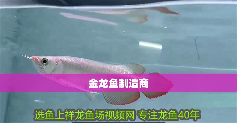 魚缸用增氧泵價格是多少:魚缸增氧機-xtrac增氧機-xtrac增氧機 金龍魚制造商 龍魚百科 金龍魚制造商 金龍魚制造商 龍魚百科
