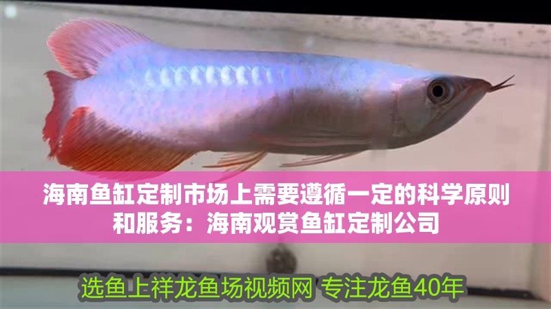 海南魚缸定制市場上需要遵循一定的科學原則和服務：海南觀賞魚缸定制公司