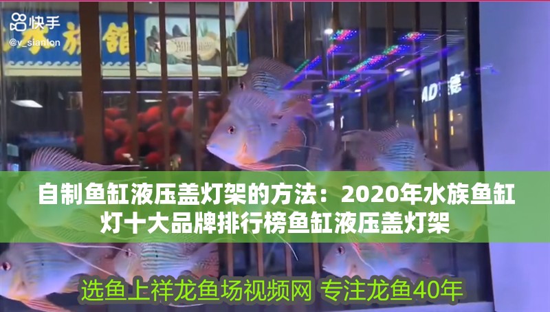 自制魚(yú)缸液壓蓋燈架的方法：2020年水族魚(yú)缸燈十大品牌排行榜魚(yú)缸液壓蓋燈架