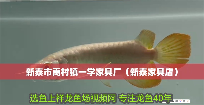 新泰市禹村鎮一學家具廠（新泰家具店）