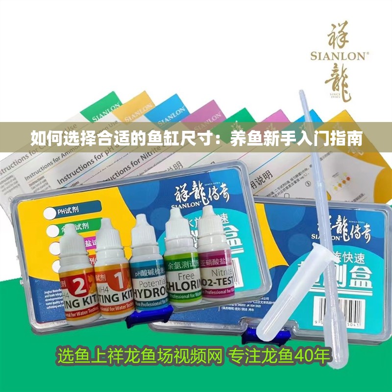 如何選擇合適的魚缸尺寸：養魚新手入門指南
