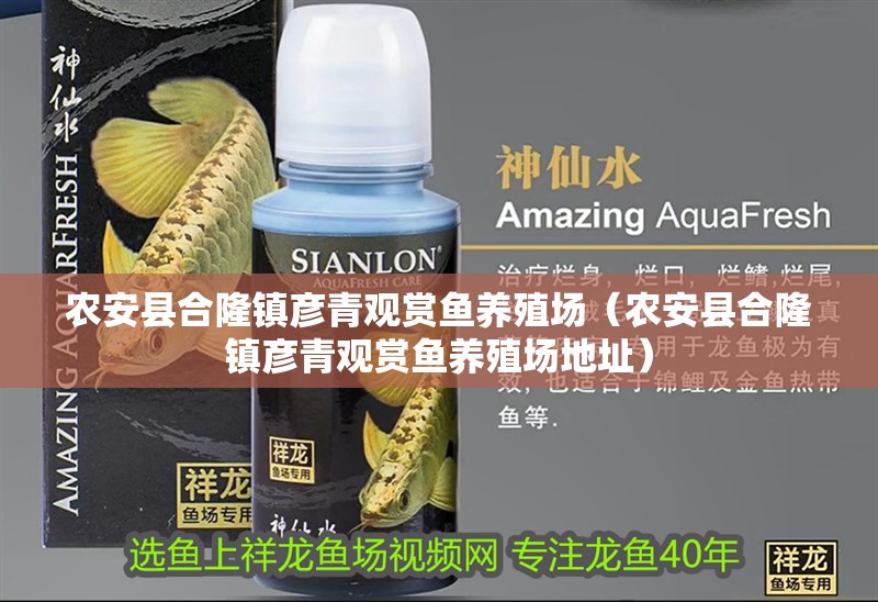 農安縣合隆鎮彥青觀賞魚養殖場（農安縣合隆鎮彥青觀賞魚養殖場地址）