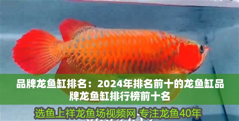 品牌龍魚缸排名：2024年排名前十的龍魚缸品牌龍魚缸排行榜前十名 品牌龍魚缸排名：2024年排名前十的龍魚缸品牌龍魚缸排行榜前十名 魚缸百科