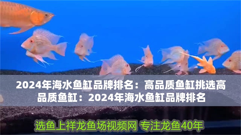 2024年海水魚缸品牌排名：高品質魚缸挑選高品質魚缸：2024年海水魚缸品牌排名