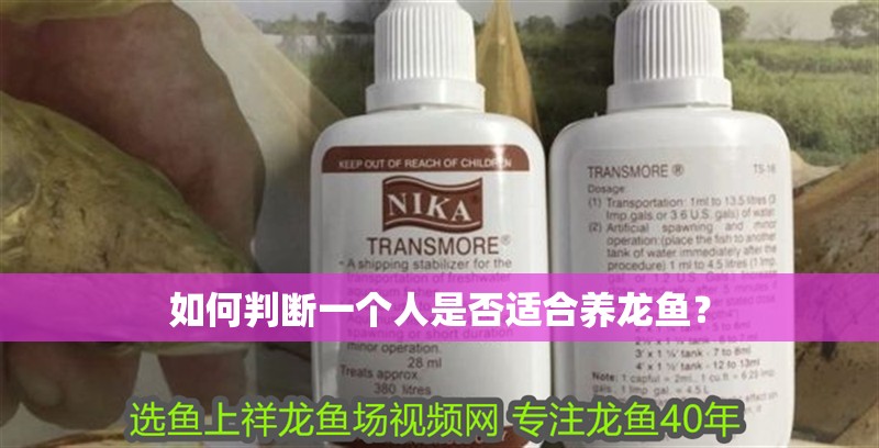 如何判斷一個(gè)人是否適合養(yǎng)龍魚？ 如何判斷一個(gè)人是否適合養(yǎng)龍魚？ 龍魚論壇