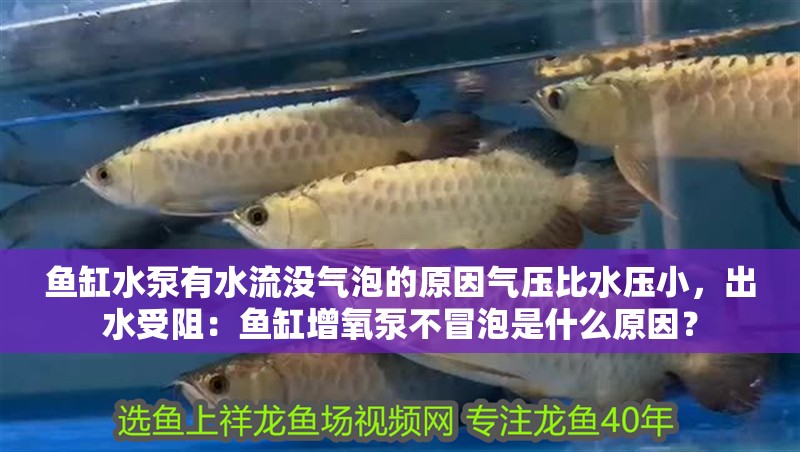 魚缸水泵有水流沒(méi)氣泡的原因氣壓比水壓小，出水受阻：魚缸增氧泵不冒泡是什么原因？ 魚缸水泵有水流沒(méi)氣泡的原因氣壓比水壓小，出水受阻：魚缸增氧泵不冒泡是什么原因？ 魚缸百科