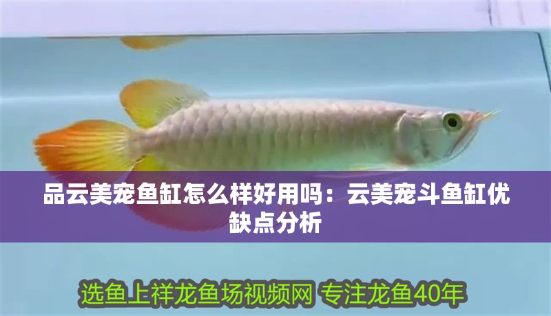 品云美寵魚缸怎么樣好用嗎：云美寵斗魚缸優缺點分析