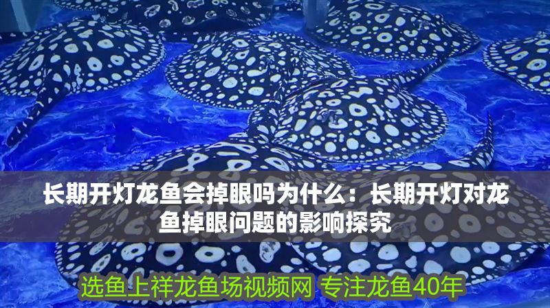 長期開燈龍魚會掉眼嗎為什么：長期開燈對龍魚掉眼問題的影響探究