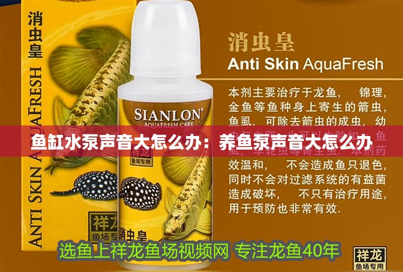 魚缸過濾器選購指南:自制魚缸過濾器魚缸上置過濾器對于養(yǎng)魚愛好者的必備知識 魚缸水泵聲音大怎么辦:養(yǎng)魚泵聲音大怎么辦 魚缸百科 魚缸水泵聲音大怎么辦:養(yǎng)魚泵聲音大怎么辦 魚缸水泵聲音大怎么辦:養(yǎng)魚泵聲音大怎么辦 魚缸百科