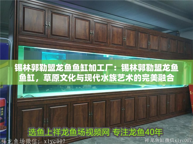 錫林郭勒盟龍魚魚缸加工廠：錫林郭勒盟龍魚魚缸，草原文化與現代水族藝術的完美融合