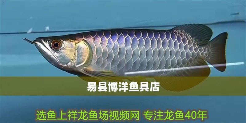 易縣博洋魚(yú)具店