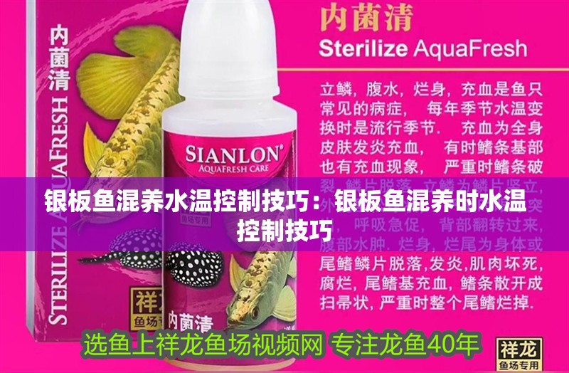 魚缸過濾器選購指南:自制魚缸過濾器魚缸上置過濾器對于養魚愛好者的必備知識 銀板魚混養水溫控制技巧:銀板魚混養時水溫控制技巧 龍魚百科 銀板魚混養水溫控制技巧:銀板魚混養時水溫控制技巧 銀板魚混養水溫控制技巧:銀板魚混養時水溫控制技巧 龍魚百科