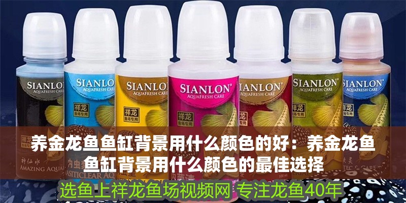養金龍魚魚缸背景用什么顏色的好：養金龍魚魚缸背景用什么顏色的最佳選擇
