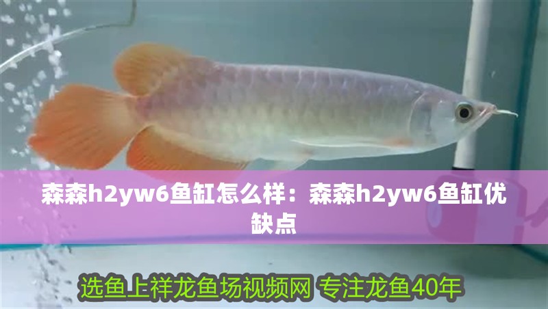 森森h2yw6魚缸怎么樣：森森h2yw6魚缸優缺點