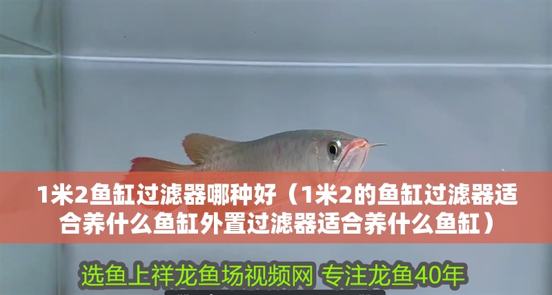 1米2魚(yú)缸過(guò)濾器哪種好（1米2的魚(yú)缸過(guò)濾器適合養(yǎng)什么魚(yú)缸外置過(guò)濾器適合養(yǎng)什么魚(yú)缸）