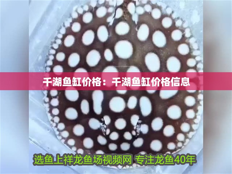 千湖魚缸價格：千湖魚缸價格信息
