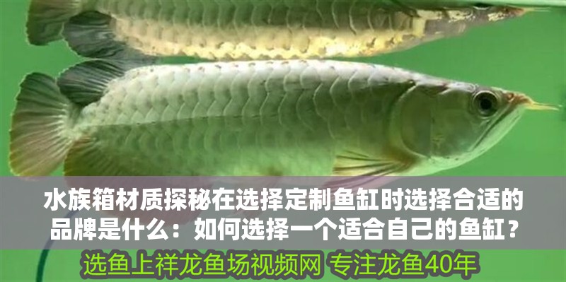 水族箱材質(zhì)探秘在選擇定制魚(yú)缸時(shí)選擇合適的品牌是什么：如何選擇一個(gè)適合自己的魚(yú)缸？
