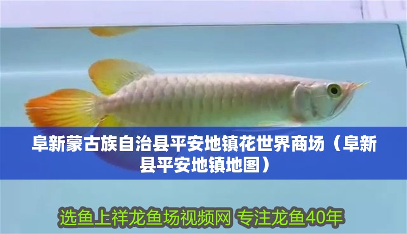 阜新蒙古族自治縣平安地鎮花世界商場（阜新縣平安地鎮地圖） 阜新蒙古族自治縣平安地鎮花世界商場（阜新縣平安地鎮地圖） 全國水族館企業名錄