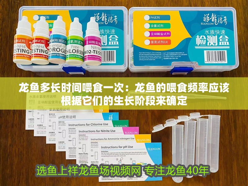 龍魚多長時間喂食一次：龍魚的喂食頻率應該根據它們的生長階段來確定