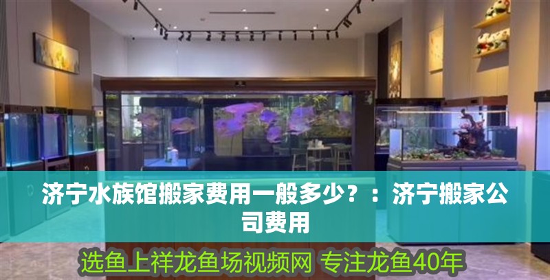 濟寧水族館搬家費用一般多少？：濟寧搬家公司費用
