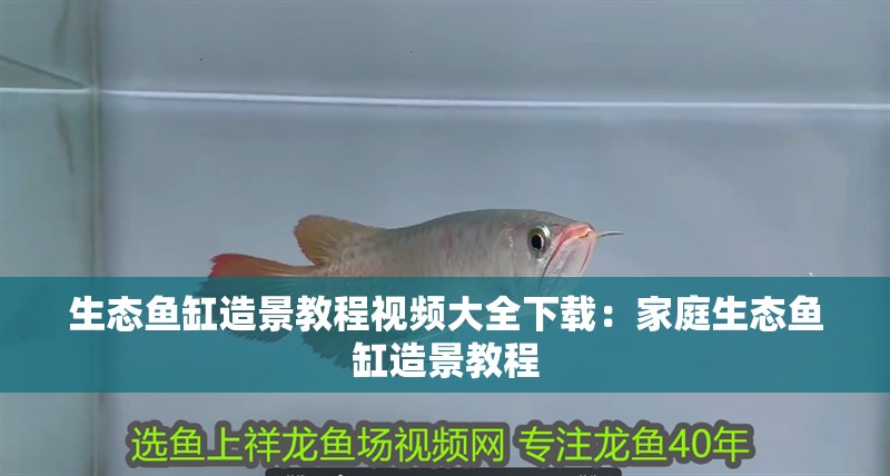 生態魚缸造景教程視頻大全下載：家庭生態魚缸造景教程 生態魚缸造景教程視頻大全下載：家庭生態魚缸造景教程 魚缸百科