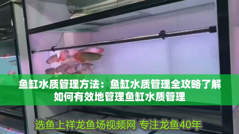 魚缸水質(zhì)管理方法：魚缸水質(zhì)管理全攻略了解如何有效地管理魚缸水質(zhì)管理 魚缸水質(zhì)管理方法：魚缸水質(zhì)管理全攻略了解如何有效地管理魚缸水質(zhì)管理 魚缸百科