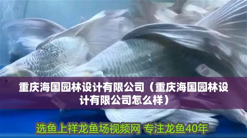 重慶海國園林設(shè)計有限公司（重慶海國園林設(shè)計有限公司怎么樣） 重慶海國園林設(shè)計有限公司（重慶海國園林設(shè)計有限公司怎么樣） 全國水族館企業(yè)名錄