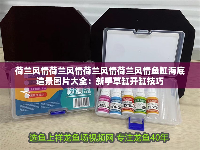 荷蘭風(fēng)情荷蘭風(fēng)情荷蘭風(fēng)情荷蘭風(fēng)情魚缸海底造景圖片大全：新手草缸開缸技巧