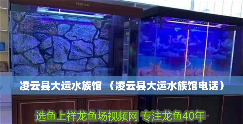 凌云縣大運(yùn)水族館 （凌云縣大運(yùn)水族館電話）