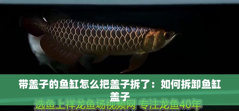 帶蓋子的魚缸怎么把蓋子拆了：如何拆卸魚缸蓋子 帶蓋子的魚缸怎么把蓋子拆了：如何拆卸魚缸蓋子 魚缸百科