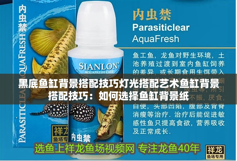 黑底魚缸背景搭配技巧燈光搭配藝術魚缸背景搭配技巧：如何選擇魚缸背景紙