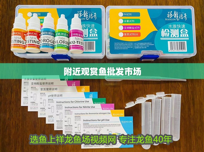 附近觀賞魚(yú)批發(fā)市場(chǎng) 附近觀賞魚(yú)批發(fā)市場(chǎng) 龍魚(yú)論壇