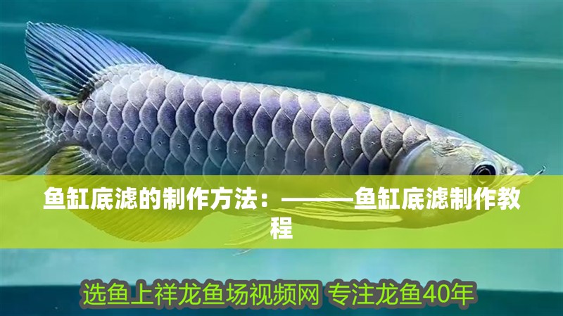 魚缸底濾的制作方法：———魚缸底濾制作教程 魚缸底濾的制作方法：———魚缸底濾制作教程 魚缸百科