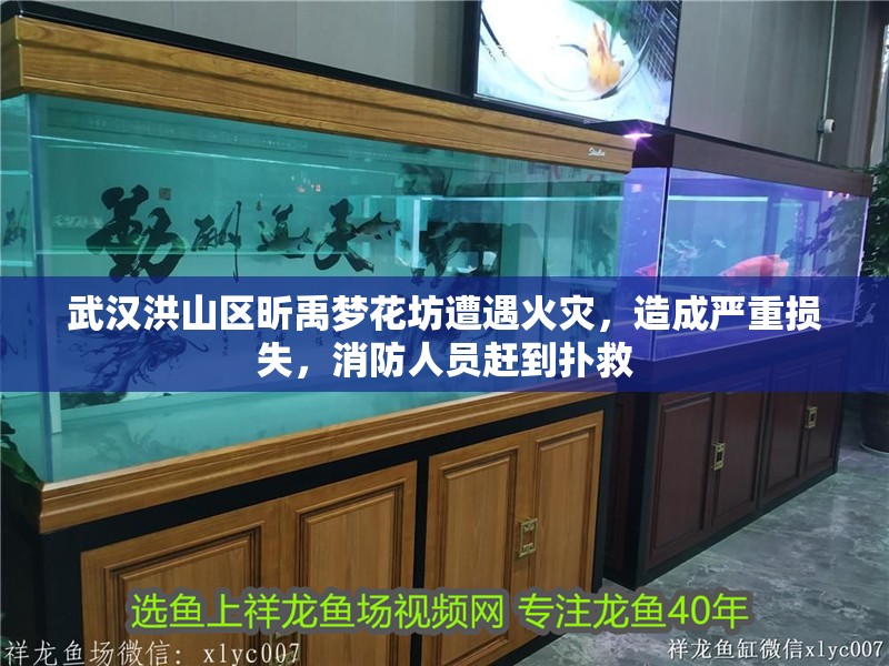 武漢<strong><mark>洪山</mark></strong>區(qū)昕禹夢花坊遭遇火災，造成嚴重損失，消防人員趕到撲救