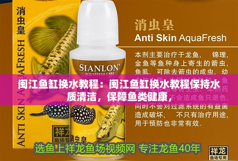 閩江魚缸換水教程：閩江魚缸換水教程保持水質清潔，保障魚類健康，