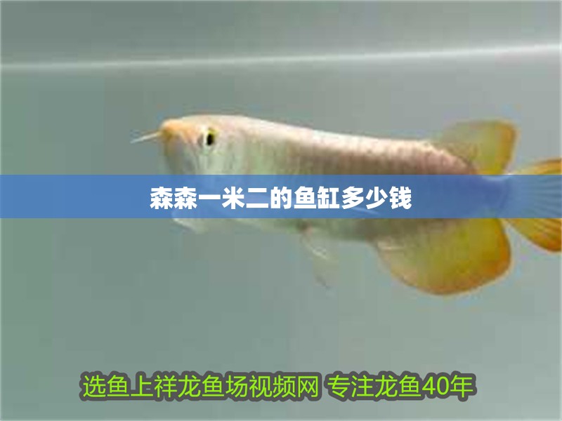 森森一米二的魚缸多少錢