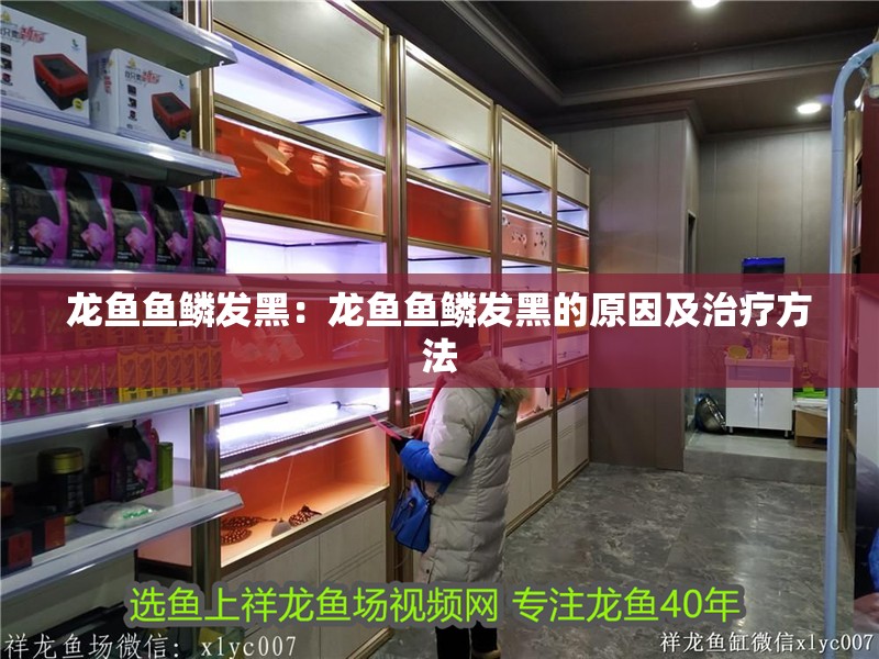龍魚魚鱗發黑：龍魚魚鱗發黑的原因及治療方法 龍魚魚鱗發黑：龍魚魚鱗發黑的原因及治療方法 龍魚百科