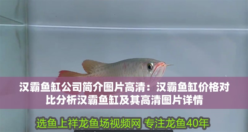 漢霸魚缸公司簡介圖片高清：漢霸魚缸價格對比分析漢霸魚缸及其高清圖片詳情 漢霸魚缸公司簡介圖片高清：漢霸魚缸價格對比分析漢霸魚缸及其高清圖片詳情 魚缸百科